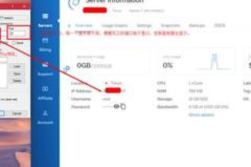 如何使用VPS搭建梯子？VPS搭梯子的具体步骤是什么？